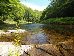 counselling in somerset and wiltshire